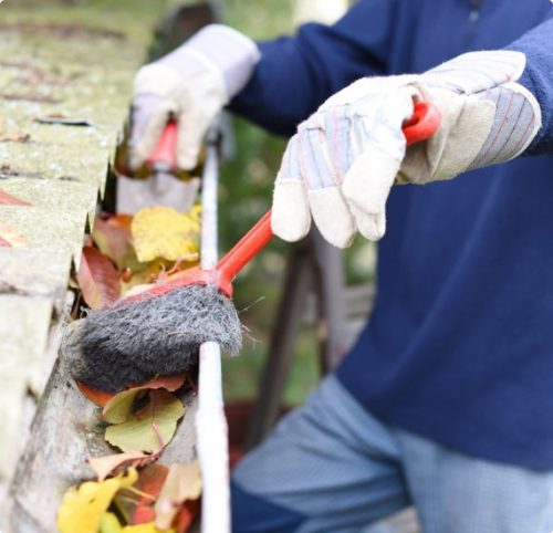 gutter cleaning