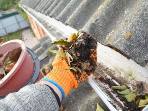 gutter cleaning