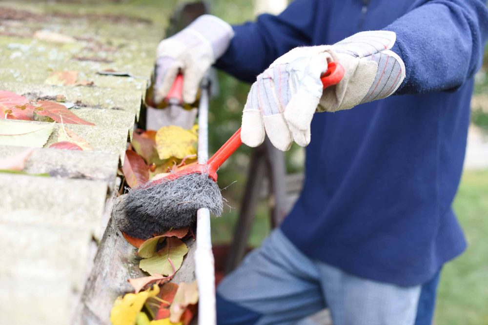 gutter cleaning