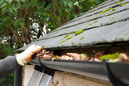 Gutter cleaners